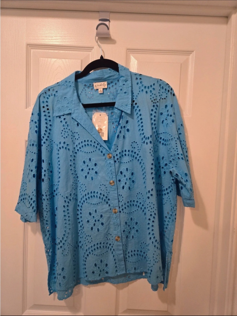Wonderly Sky Blue Eyelet Button-Up Shirt